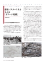 Consultant282