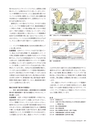Consultant282
