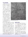 Consultant283