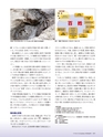 Consultant283