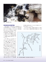 Consultant283