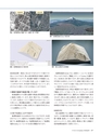 Consultant283