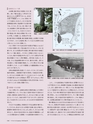 Consultant285