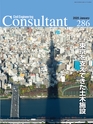 Consultant286