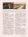 Consultant286