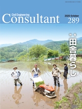 Consultant289