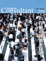 Consultant290