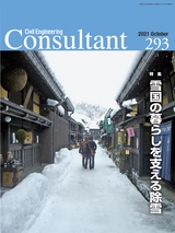 Consultant293