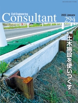 Consultant294