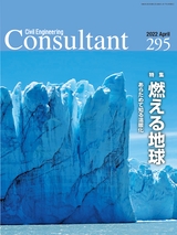 Consultant295