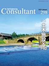 Consultant298