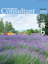 Consultant299