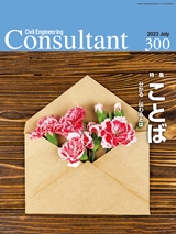 Consultant300