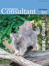 Consultant301
