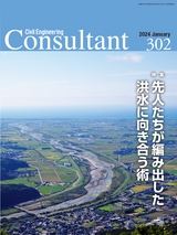 Consultant302