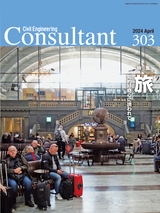 Consultant303